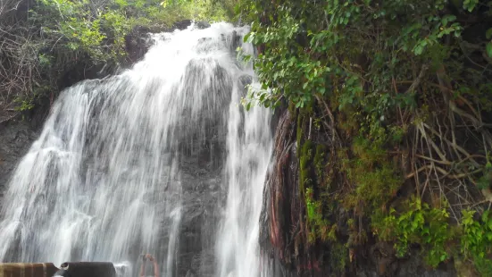 Agathiyar Falls