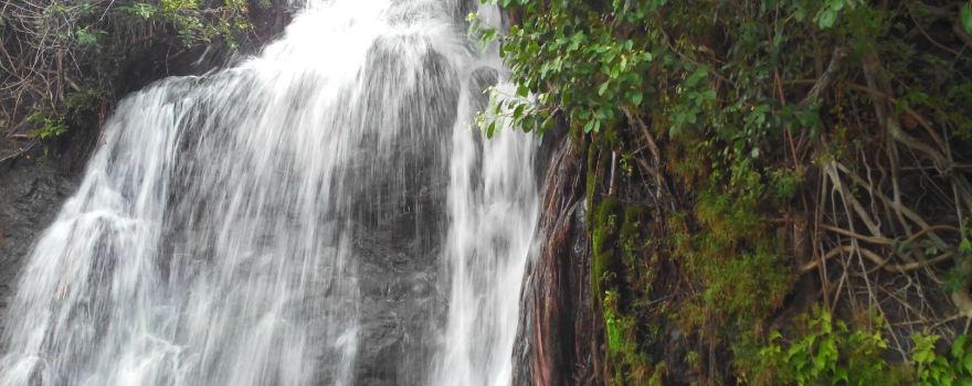 Agathiyar Falls