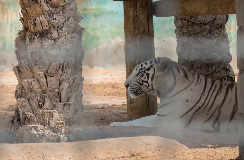 5_Ras Al Khaimah Zoo