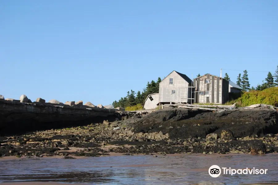 Sandy Cove Beach