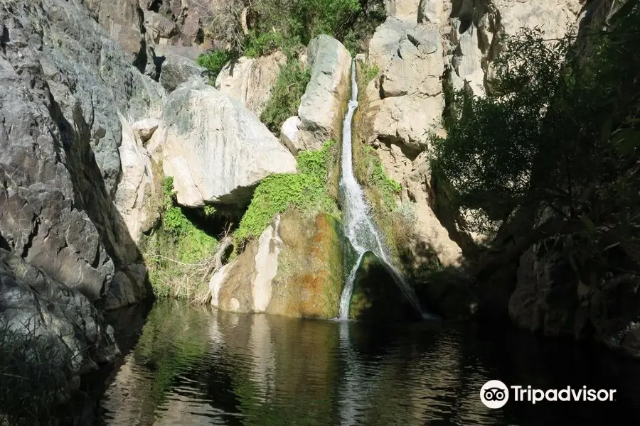 Darwin Falls