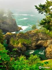 Whaleshead Picnic Area - Samuel H. Boardman State Scenic Corridor