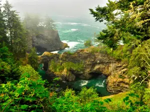 Whaleshead Picnic Area - Samuel H. Boardman State Scenic Corridor