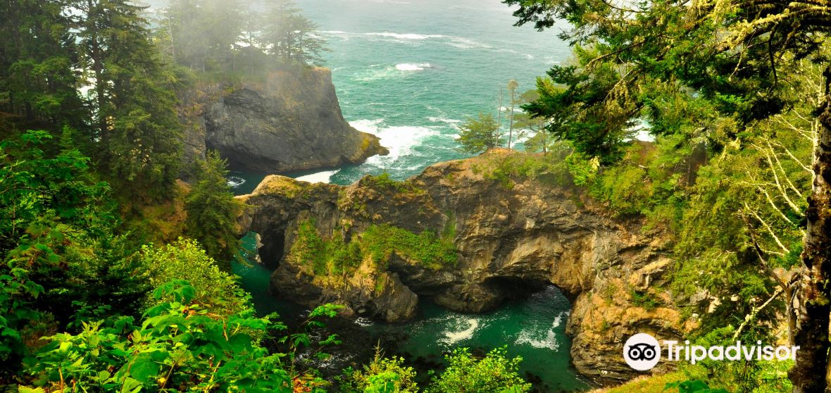 Things to Do in Curry County in 2024 Top Attractions, Local Food