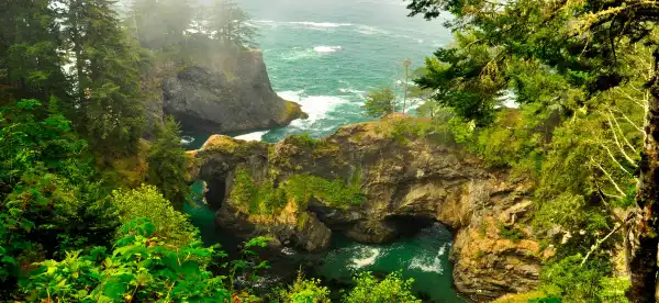 Hotels in Curry County
