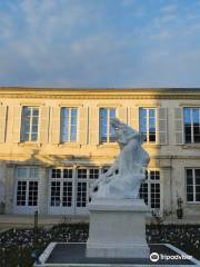 Musee d'histoire naturelle de La Rochelle