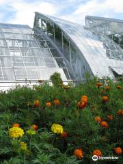 Botanic Garden of University of Turku