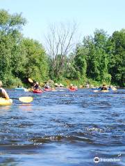 Kayak Safari