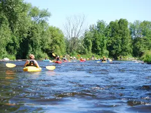 Kayak Safari