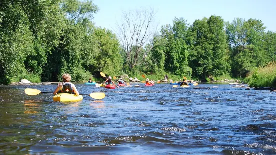 Kayak Safari