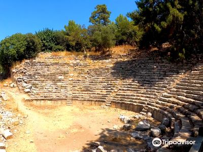 Phaselis Koyu