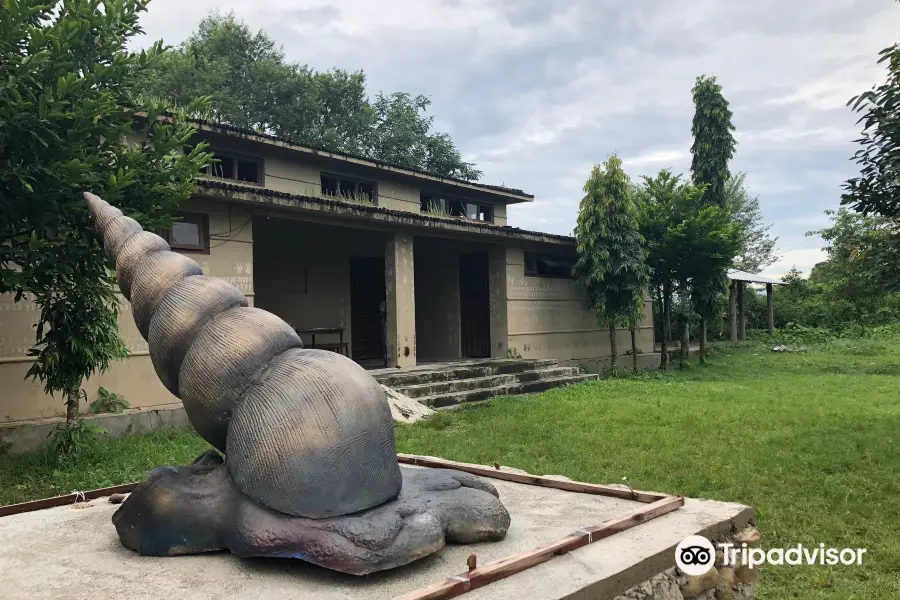 Tharu Cultural Museum & Research Center