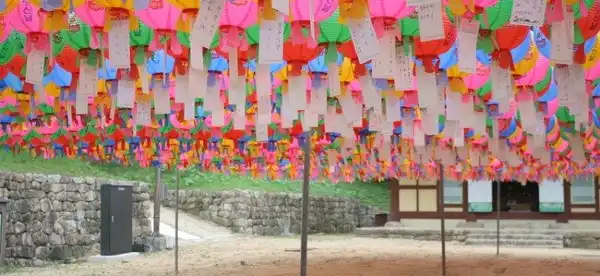 Hotels in Gangjin-gun