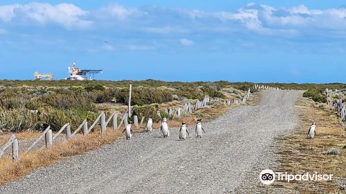 Cabo Vírgenes Cabo Virgenes