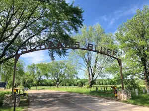 Spring Lake Park Reserve