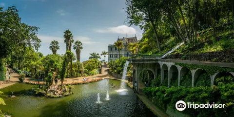 蒙特宮熱帶花園