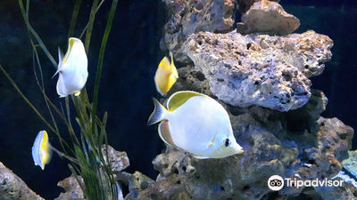 Theme Park Marine Aquarium GmbH