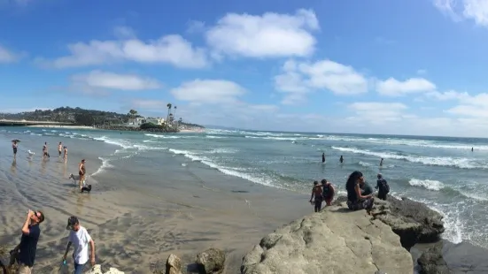 Del Mar Dog Beach