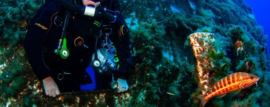 Diverse Scuba