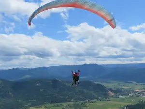 Freedom Flight School