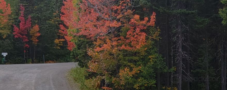 Notre Dame Provincial Park