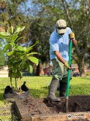 Miramar Community Garden