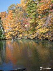 Fishkill Ridge Trail