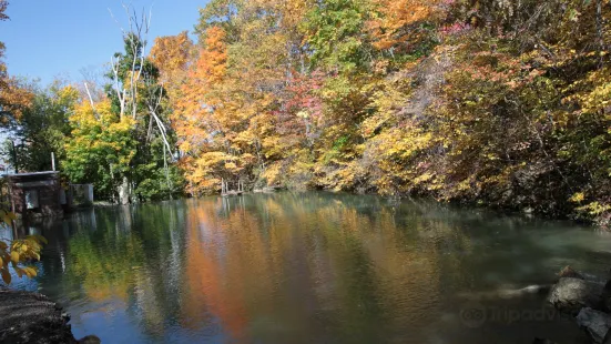 Fishkill Ridge Trail