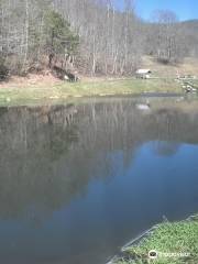 Cooper Creek Trout Farm