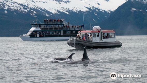 Gastineau Guiding Company