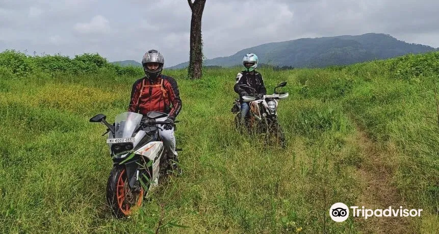 1_Bikester Global