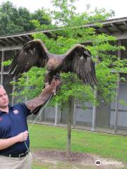 Auburn Raptor Center