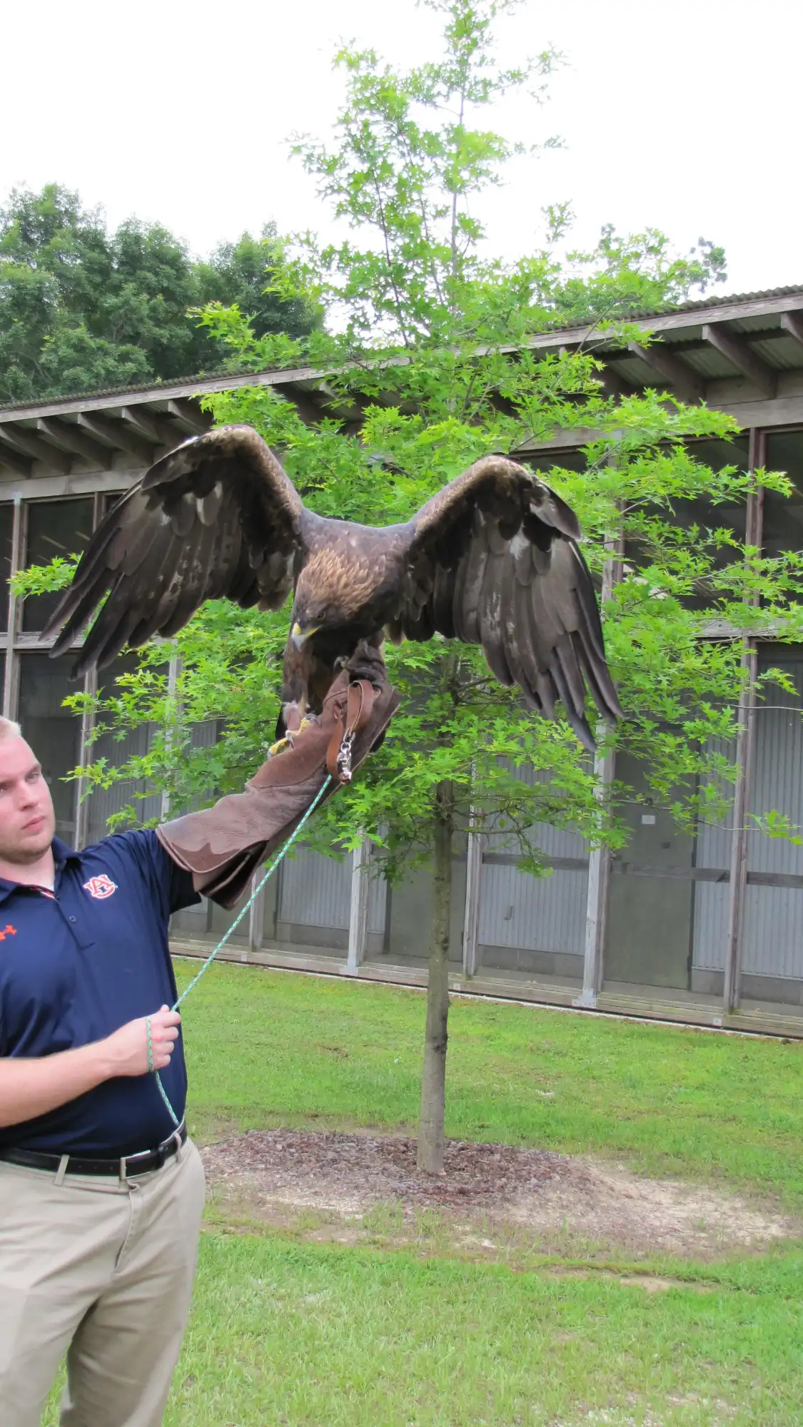 Các khách sạn gần Southeastern Raptor Center