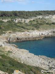 Geotask GEO - Geoexcursions Salento