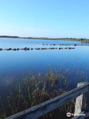 Back Bay National Wildlife Refuge