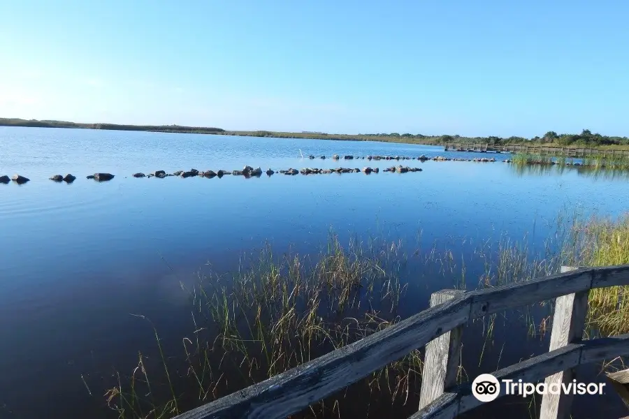 Back Bay National Wildlife Refuge