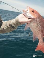 Panhandle Fishing Charters