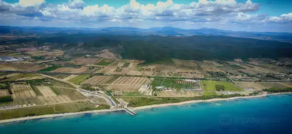 Hotels in Province of Livorno