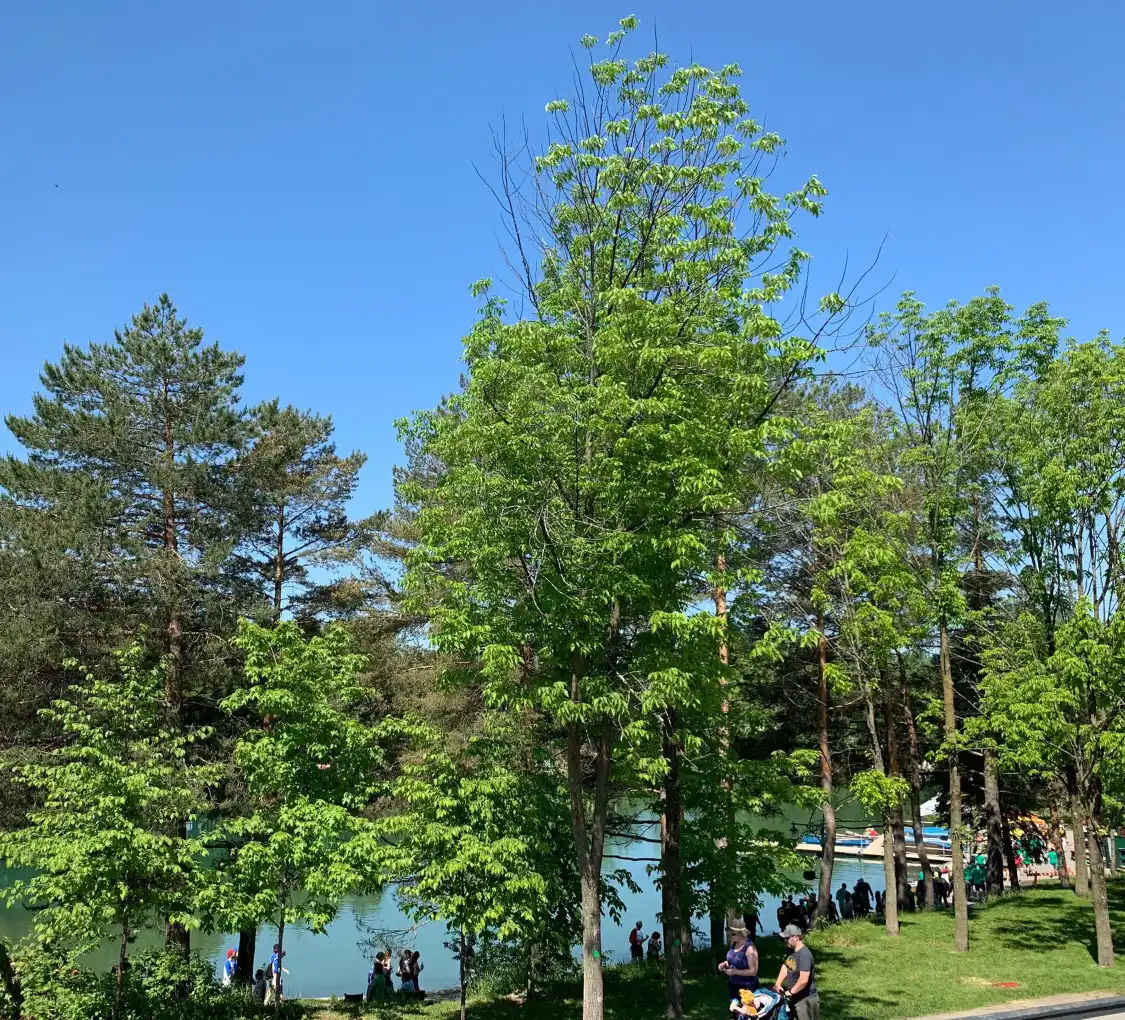 Hotels near Nature Center