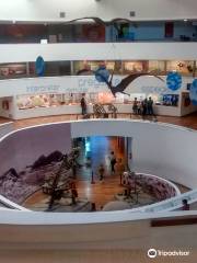 Museo De Ciencias Naturales Arturo Illia