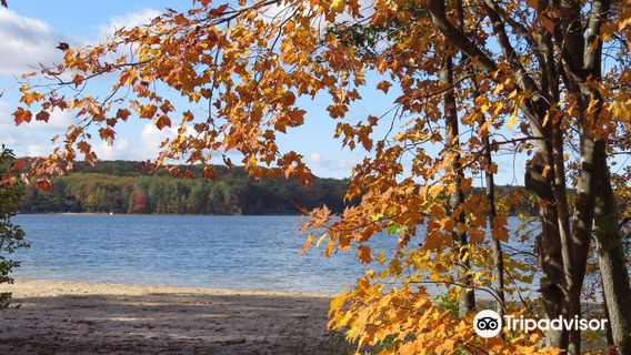 Otsego Lake State Park