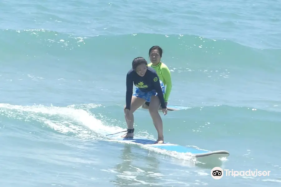 Single Fin Surf School