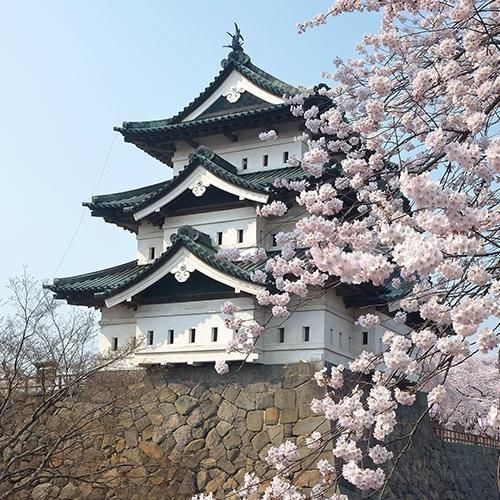 Hirosaki Cherry Blossom Festival | Hirosaki