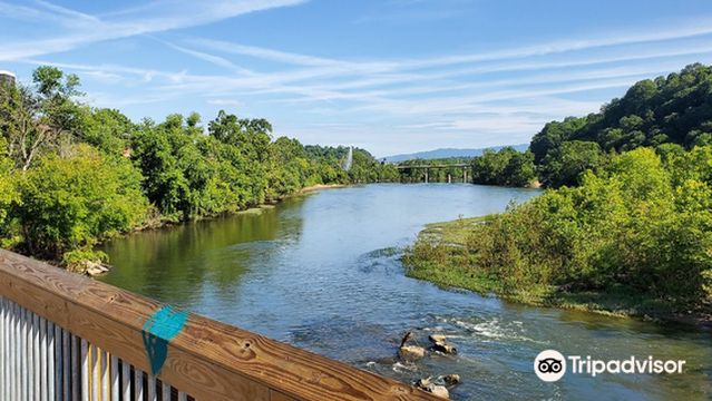Percival's Island Natural Area