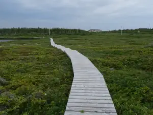 White rocks walking trail