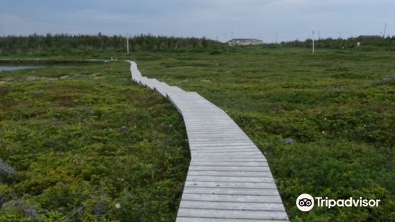 White rocks walking trail