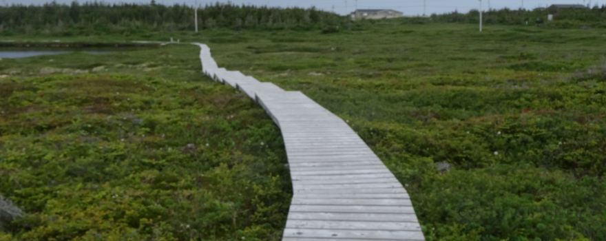 White rocks walking trail