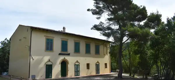 Collesalvetti