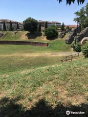 Amphithéâtre romain de Purpan-Ancely