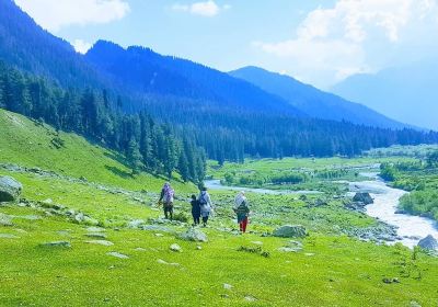 Bandipora